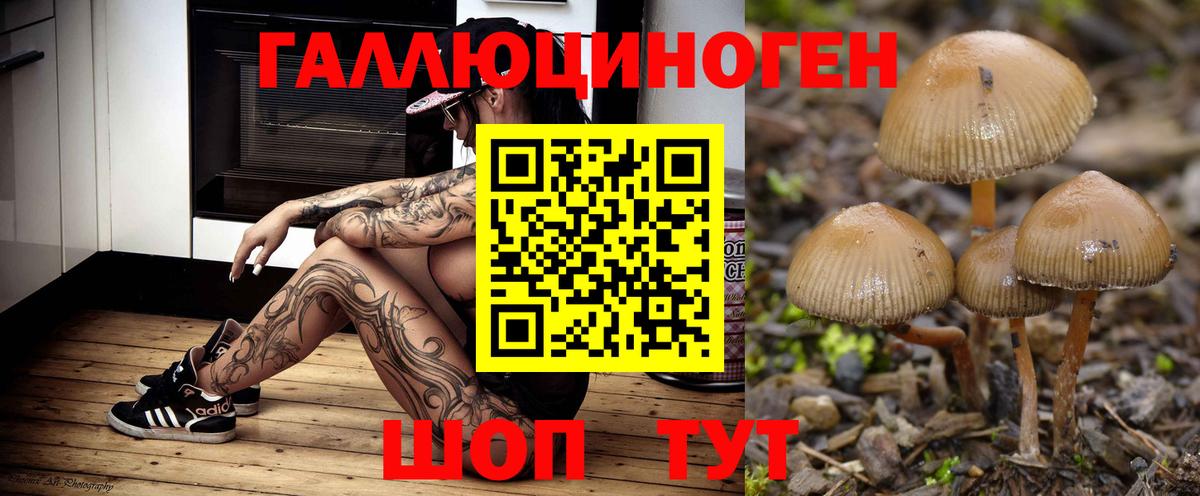Псилоцибиновые грибы Cubensis  Вход с VPN  Зерноград  Галлюциногенные грибы ЛСД 